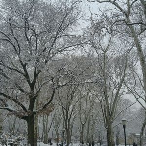 Meet your Posher, Stephen